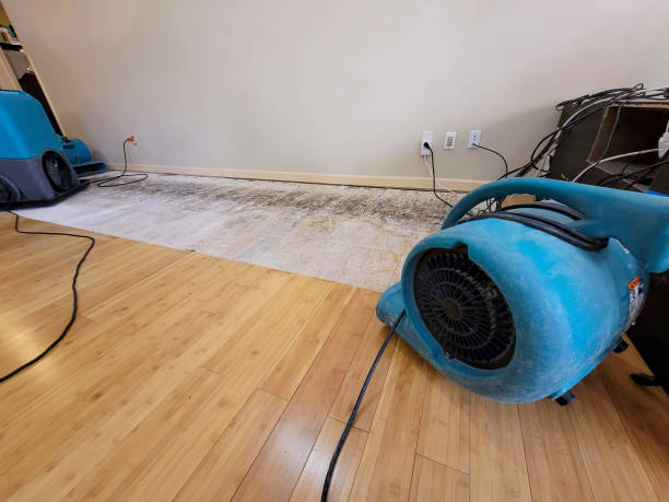 Professional Basement Flood Cleanup technician working in Wanchese, NC